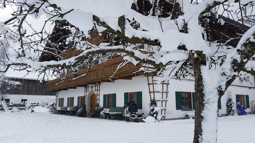 Biobauernhof Stegerbauer Apartment Maria Alm am Steinernen Meer Exterior photo